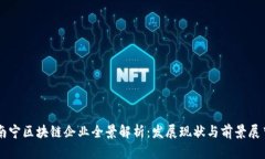 南宁区块链企业全景解析：发展现状与前景展望