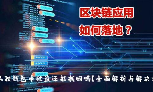 小狐狸钱包币被盗还能找回吗？全面解析与解决方案