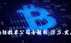 海南区块链技术公司全解析：潜力、发展与机遇