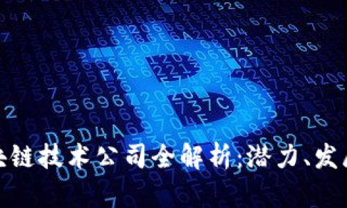 海南区块链技术公司全解析:潜力、发展与机遇