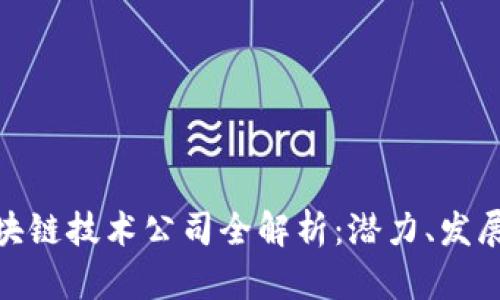 海南区块链技术公司全解析：潜力、发展与机遇
